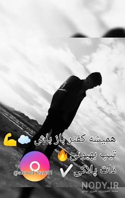 عکس کبوتر سیاه