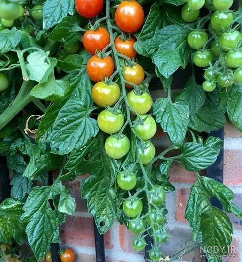 عکس کره زمین فانتزی عکس کره زمین فانتزی