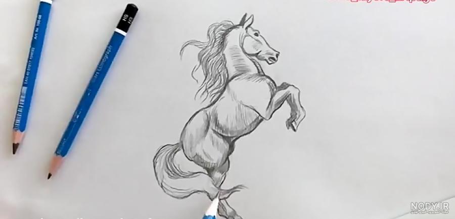 فیلم نقاشی اسب کارتونی فیلم نقاشی اسب کارتونی