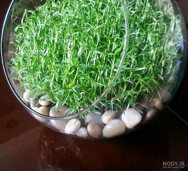 لحظه تحویل سال 1405 چه ساعتی است لحظه تحویل سال 1405 چه ساعتی است