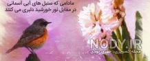 متن مثل پروانه باش دیدنت آسان متن مثل پروانه باش دیدنت آسان