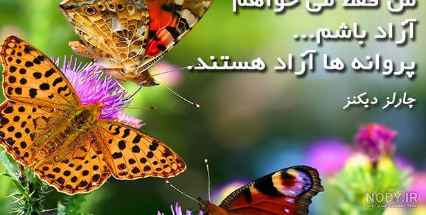 متن کوتاه انگلیسی درباره پروانه متن کوتاه انگلیسی درباره پروانه
