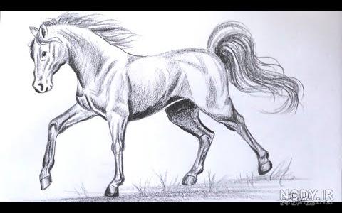 نقاشی اسب ساده نقاشی اسب ساده