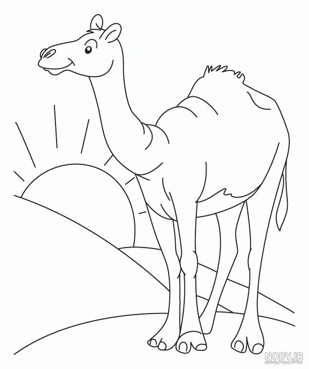 نقاشی کودکانه شتر در بیابان