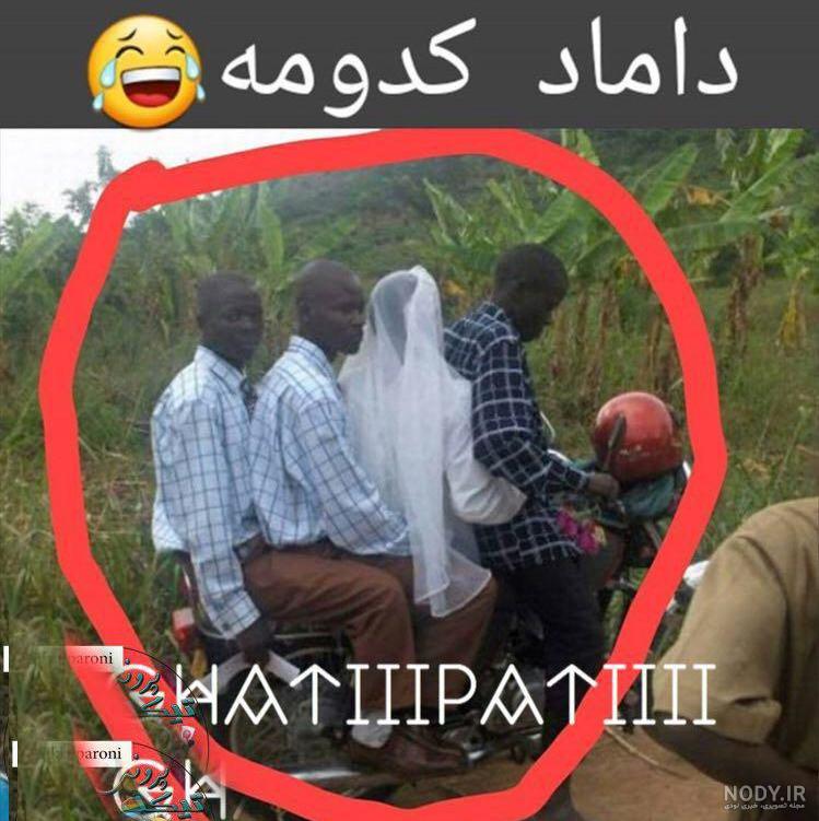 گالری عکس خنده دار گالری عکس خنده دار