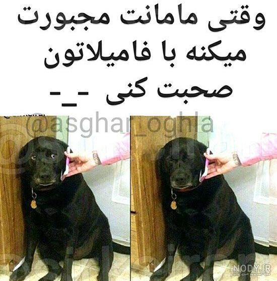 یک عکس خنده دار یک عکس خنده دار