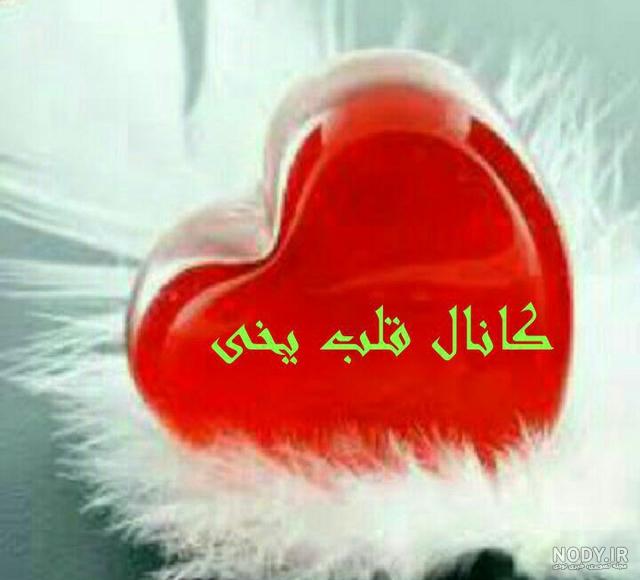 عکس قلب یخ زده عکس قلب یخ زده