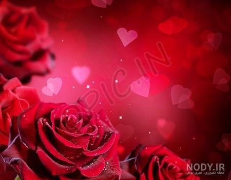 عکس گل عکس گل