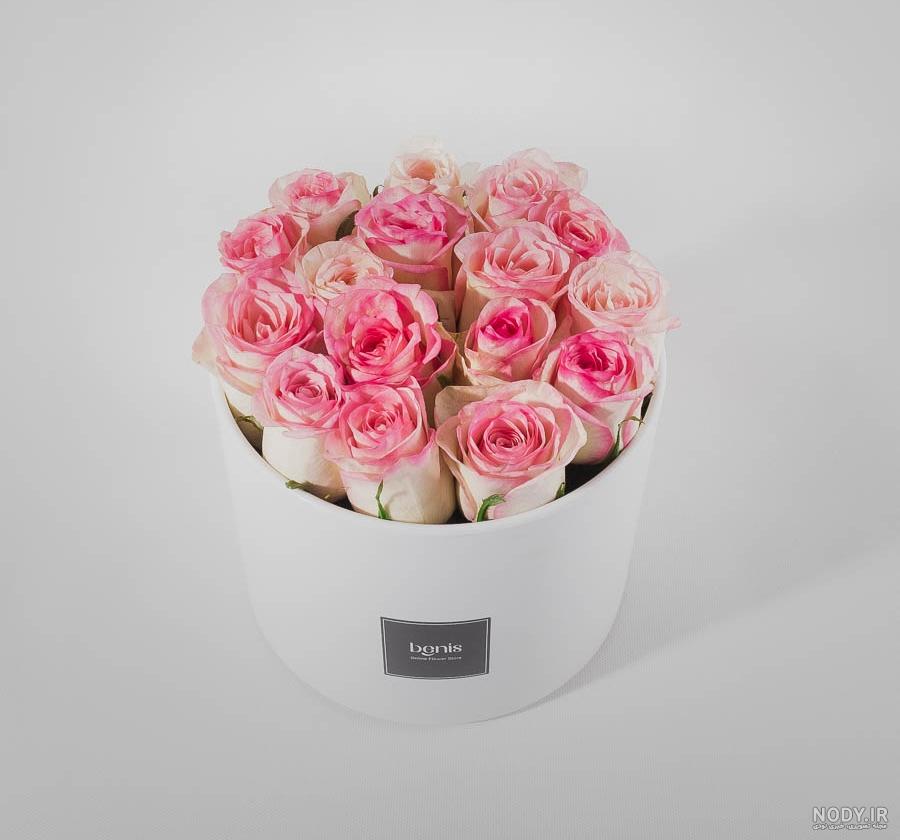 عکس گل رز بنفش