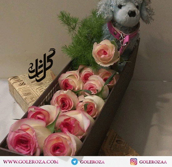 عکس گل رز صورتی زیبا برای پروفایل