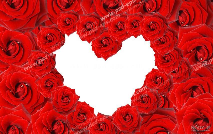 عکس گل و قلب زیبا برای پروفایل عکس گل و قلب زیبا برای پروفایل