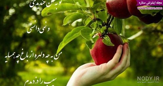 آبی خاکستری سیاه+pdf آبی خاکستری سیاه+pdf