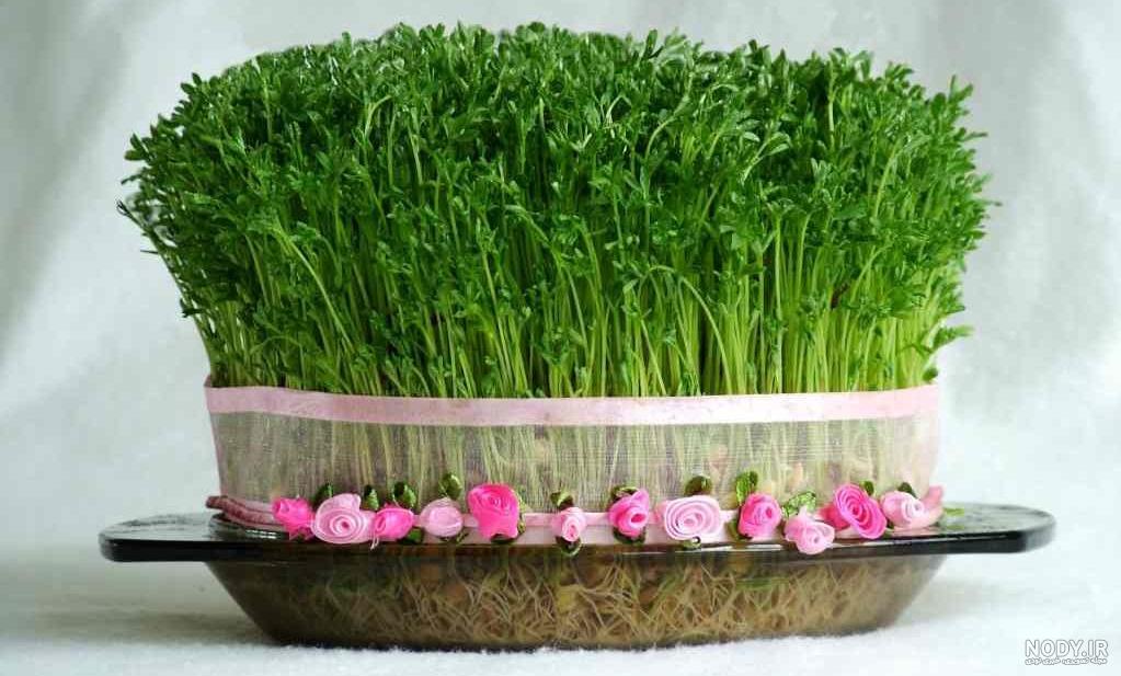 انواع سبزه عید فانتزی انواع سبزه عید فانتزی