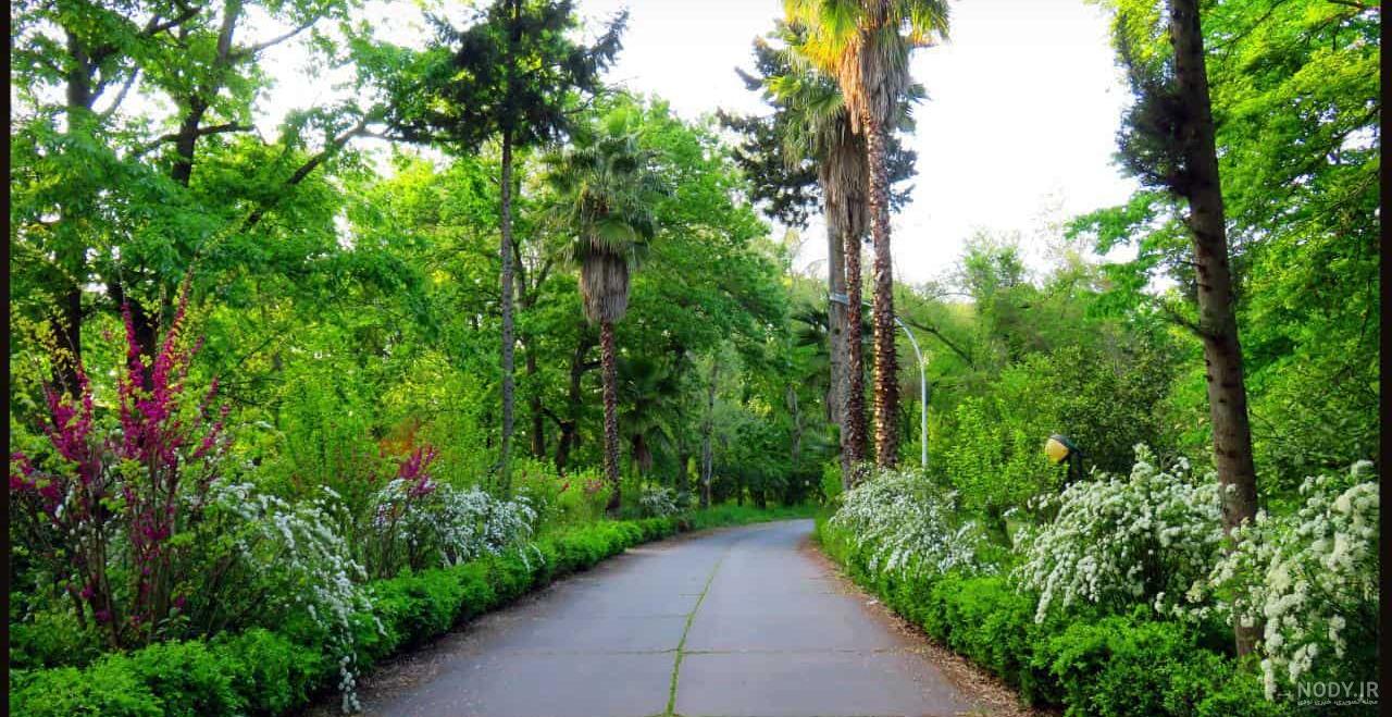 تصویر زمینه طبیعت برای گوشی تصویر زمینه طبیعت برای گوشی