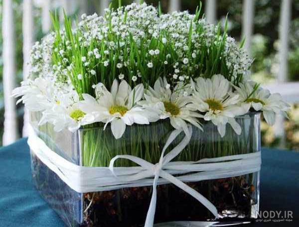 دانلود عکس سبزه عید دانلود عکس سبزه عید