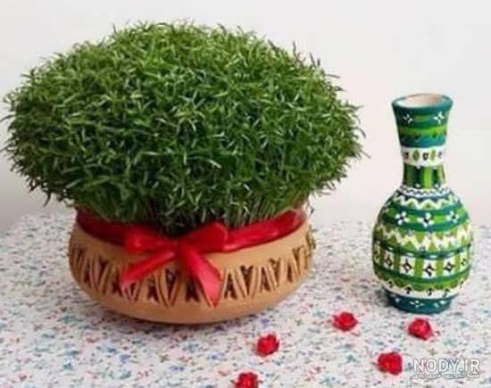 زمان کاشت سبزه ماش