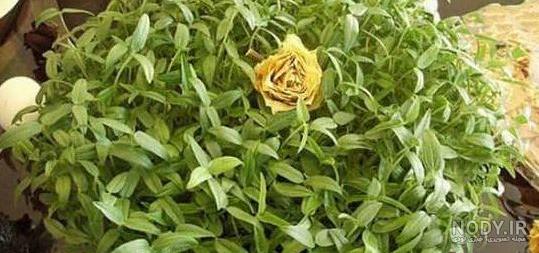سبزه ماشک