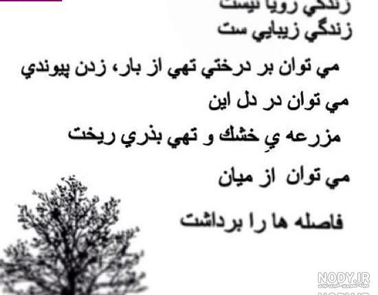 شعر مرگ حمید مصدق شعر مرگ حمید مصدق