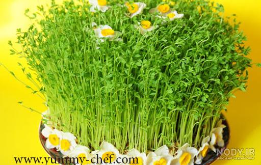 طرز تهیه سبزه خاکشیر