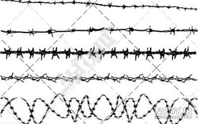 عکس تاتوی سیم خاردار