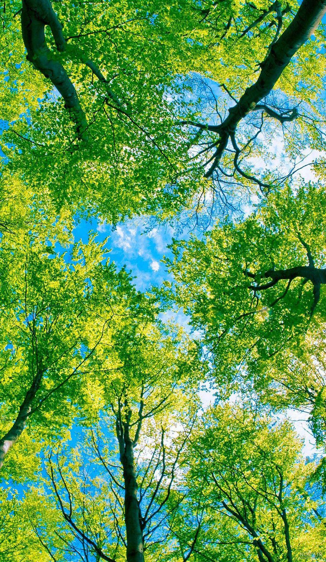 عکس زیبا از طبیعت برای تصویر زمینه عکس زیبا از طبیعت برای تصویر زمینه