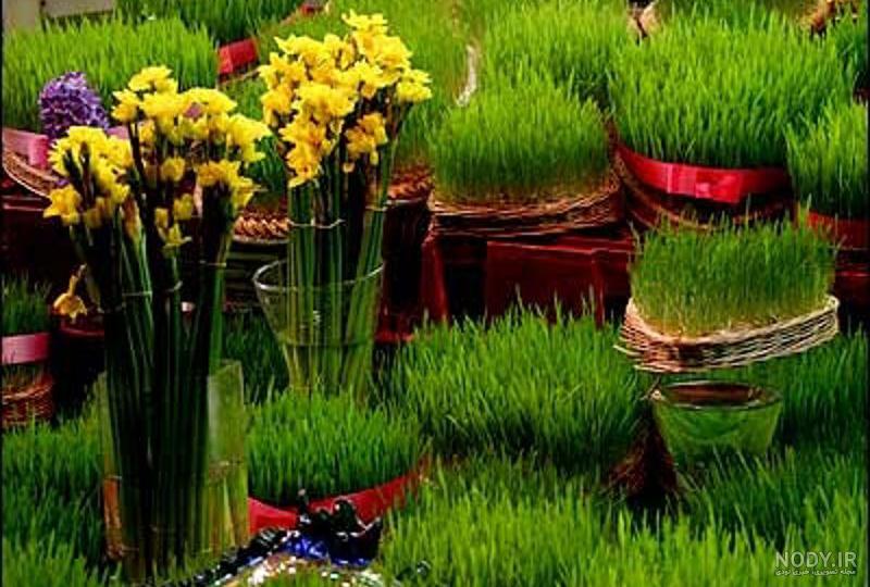 عکس سبزه عید کارتونی عکس سبزه عید کارتونی