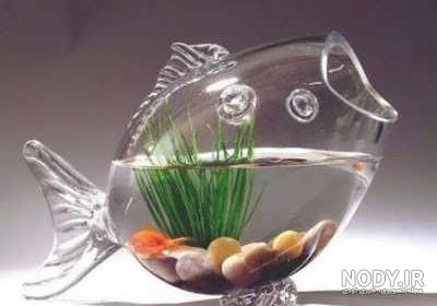 عکس سبزه گندم عکس سبزه گندم