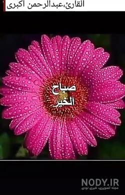 عکس صباح الخير عربی عکس صباح الخير عربی