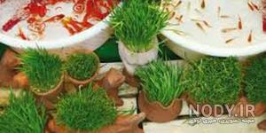 عکس ماهی رنگی عکس ماهی رنگی