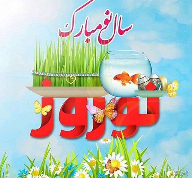 عکس ماهی قرمز برای پروفایل عکس ماهی قرمز برای پروفایل