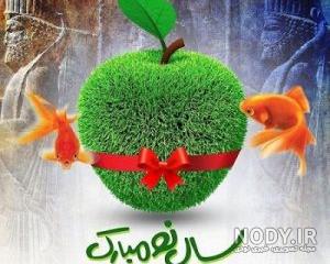 عکس ماهی قرمز کوچک عکس ماهی قرمز کوچک