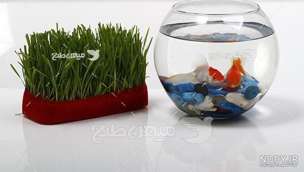 عکس ماهی کارتونی عکس ماهی کارتونی