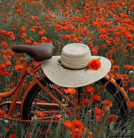 عکس نوشته منظره برای پروفایل عکس نوشته منظره برای پروفایل