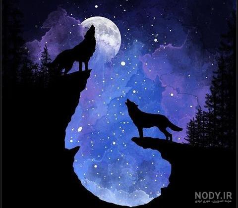 عکس گرگ سیاه ترسناک