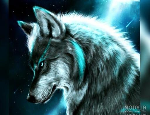 عکس گرگ سیاه چشم قرمز