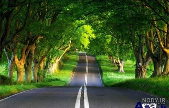 عکسهای زیبای طبیعت برای پس زمینه کامپیوتر عکسهای زیبای طبیعت برای پس زمینه کامپیوتر