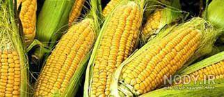 لیست گیاهان دو لپه ای لیست گیاهان دو لپه ای