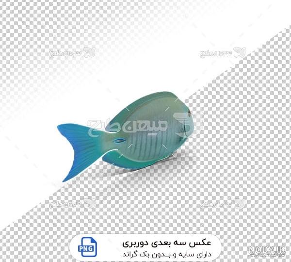 ماهی قرمز بزرگ ماهی قرمز بزرگ
