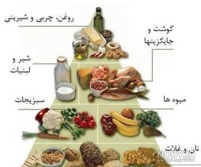 نقاشی هرم غذایی کلاس سوم ابتدایی