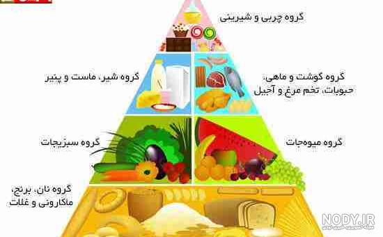 نقاشی هرم غذایی کلاس پنجم