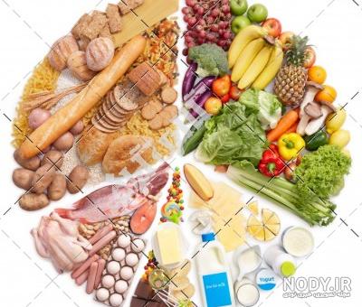 هرم غذایی نشان دهنده چیست