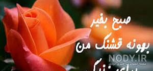 صبح آدینه تون بخیر صبح آدینه تون بخیر