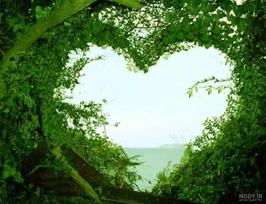 عکس طبیعت با قلب