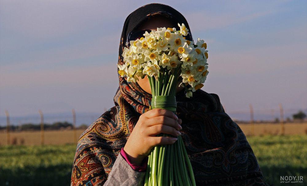 عکس گل نرگس در گلدان