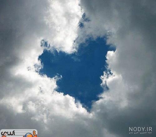 عکس گل و درخت برای پروفایل
