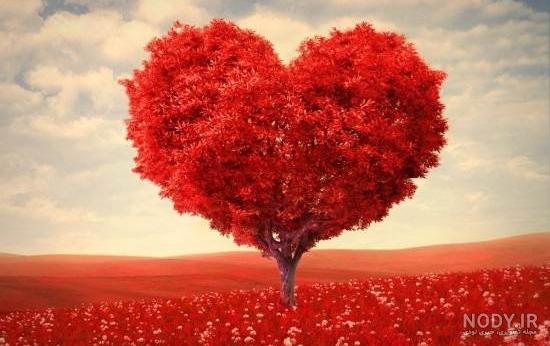 عکس گل و قلب برای پروفایل
