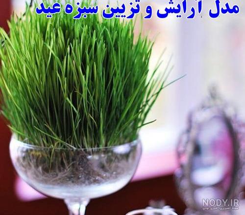 انواع سبزه عید فانتزی انواع سبزه عید فانتزی