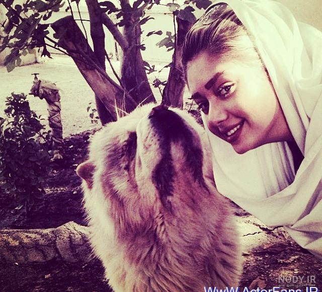 اینستاگرام نبات گرافی اینستاگرام نبات گرافی