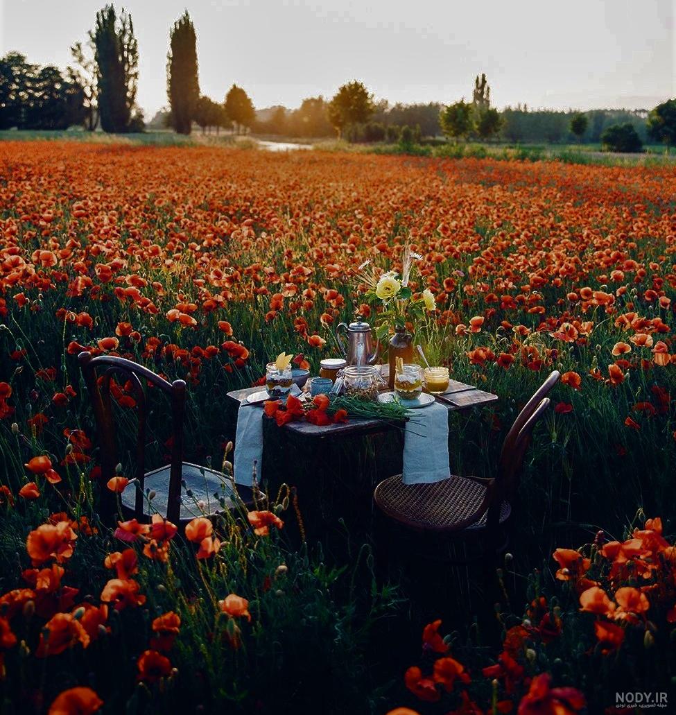 تصاویر زیبای طبیعت شیراز تصاویر زیبای طبیعت شیراز