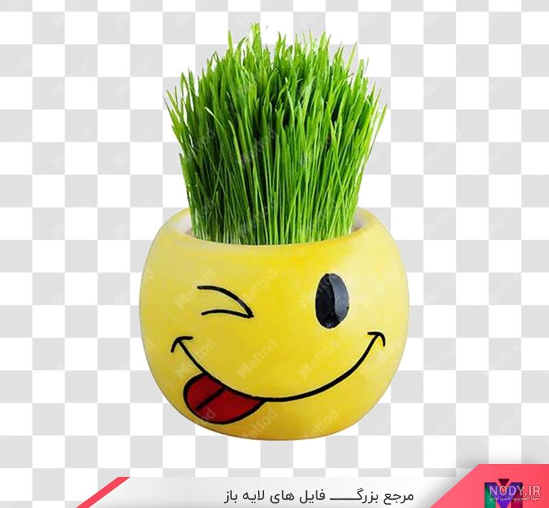 دانلود عکس سبزه عید دانلود عکس سبزه عید